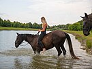 Vanesa Pyszkov chlad svho kon v ece. Letn vedra dvaj zabrat i zvatm.