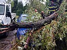 Bouka 21. ervence 2025 v Brn a na jihu Moravy hlavn lmala a kcela stromy....