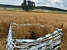 Hnzda v obil si viml idi kombajnu, kter zrovna pobl Polniky na rsku...
