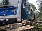 Na trati mezi Bl nad Radbuzou a Temen nad Pimdou po najet do spadlho...
