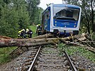 Na trati mezi Bl nad Radbuzou a Temen nad Pimdou po najet do spadlho...