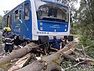 Na trati mezi Bl nad Radbuzou a Temen nad Pimdou po najet do spadlho...