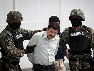 Guzmánovo zat�ení v roce 2014 pat�ilo k nejsledovan�j�ím událostem.