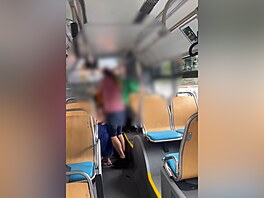 V trolejbusu v Ostrav� se poprala rodina �erných pasa�ér� s revizory
