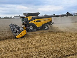 Kombajn sklízí obilí na poli Bonagro Blaovice (24. ervence 2025). Na snímku...