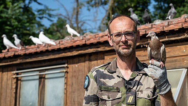 Marechal des logis Sylvain z 8. signlnho pluku (8e regiment de transmissions) francouzsk armdy dr holuba u vojenskho holubnku, poslednho aktivnho v Evrop.