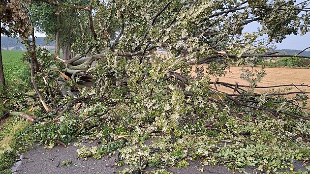 Hasi�i kv�li bou�kám museli odklízet popadané stromy. (21. �ervence 2025)
