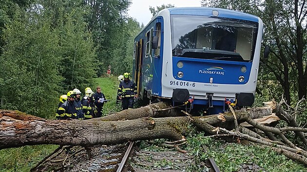 Na trati mezi Bl nad Radbuzou a Temen nad Pimdou po najet do spadlho stromu vykolejil vlak. (29. ervence 2025)
