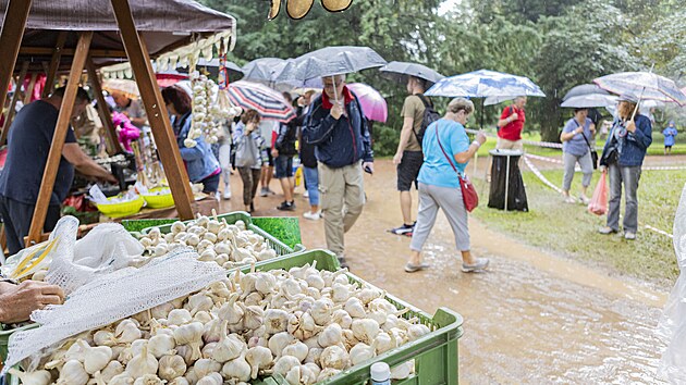 21. ronk uniktnho festivalu zasvcenho esneku v Buchlovicch. (26. ervence 2025)









Zeptat se sluby ChatGPT