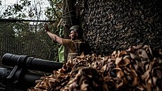 P�íslu�níci ukrajinské 13. brigády Chartija v Charkovské oblasti (21. �ervence...