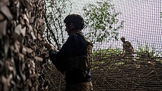 P�íslu�níci ukrajinské 13. brigády Chartija v Charkovské oblasti (21. �ervence...