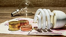 Z eho se skládá cena elektiny pro koncové zákazníky (obany a firmy)? Zhruba...