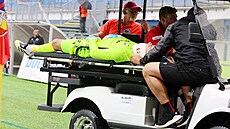 Branká Martin Jedlika z Plzn opoutí kvli zranní hit v utkání proti...