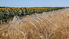 Protitanková opevn�ní v poli slune�nic v Chersonské oblasti na Ukrajin�. (25....