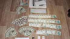 Policie na Novojiínsku zadrela a obvinila ti mue a enu, kteí zajiovali...