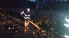 Hasi�i kv�li bou�kám museli odklízet popadané stromy. (21. �ervence 2025)