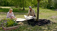 Va�e kouzelná zahrada, guild, ovocný strom, trvalky