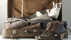 Cestování s kokou není úpln jednoduché. ale zvládnout se dá.