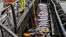 Záchranné slo�ky pou�ívají k boji s ropnou skvrnou v p�ístavu speciální...