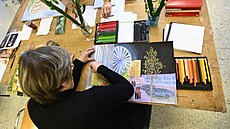 iroká paleta: Na univerzitách tetího vku do výbru patí djiny výtvarného...