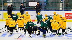 Momentka z tréninku vsetínského hokejového týmu na Lapa�i