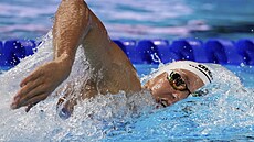 eská plavkyn Barbora Seemanová v semifinále mistrovství svta v Singapuru