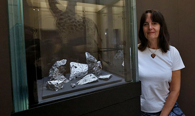 Edukátorka Slezského zemského muzea Lenka Hluchá u bezpe�nostní vitríny v...