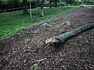 Na mladho mue spadla ve stedu v podveer v brnnskm parku Lunky pi...