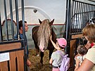 Hebinec v Tlumaov slav stolet jubileum. Chov kon, kte zajiuj...