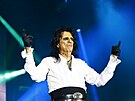 P�i brn�nsk�m koncertu uskupen� Hollywood Vampires (16. 7. 2023) zn�l...