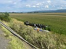 Na dlnici D1 u Lipnku nad Bevou havaroval kamion, skonil pevrcen v poli.