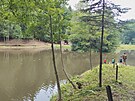 Ivansk� jezero u lesa V�eln� v Rychnov� nad Kn�nou