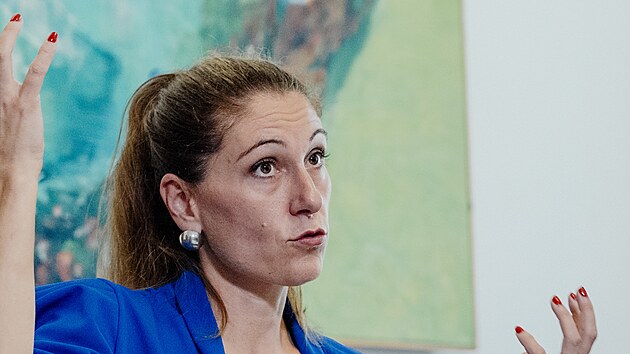 Ministryn spravedlnosti Eva Decroix komentuje konec koordinátora pro...