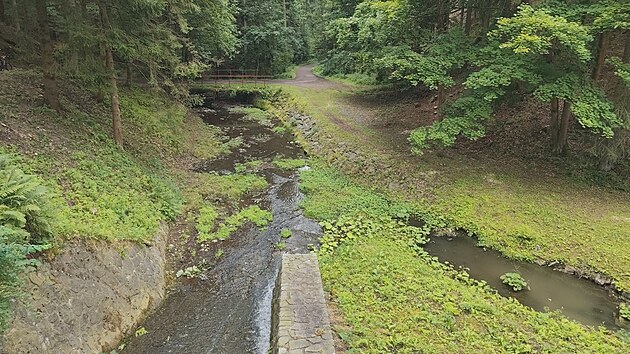 Javornick� potok pod Ivansk�m jezerem v Rychnov� nad Kn�nou