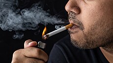 ilustra�ní snímek