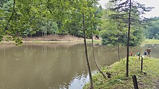 Ivanské jezero u lesa V�elný v Rychnov� nad Kn�nou