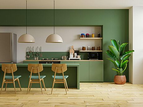 (https://unsplash.com/photos/modern-style-kitchen-interior-design-with-green-wall3d-rendering--fu0-GjJ-3E)