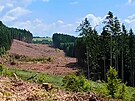 Nejdra sek D35 mn krajinu. Zmizelo u est hektar lesa