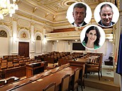 Po letech ve  Snmovn eí ada známých politik, co bude od íjna dlat. Ve...
