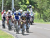 Momentka ze tetí etapy Tour de la Guadeloupe