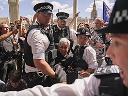 Zábry z demonstrace ped britským parlamentem, kde policie zasahovala proti...
