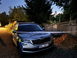 Policisté zasahují ve Zvoli u Prahy, kde museli po útku znekodnit lva, který...