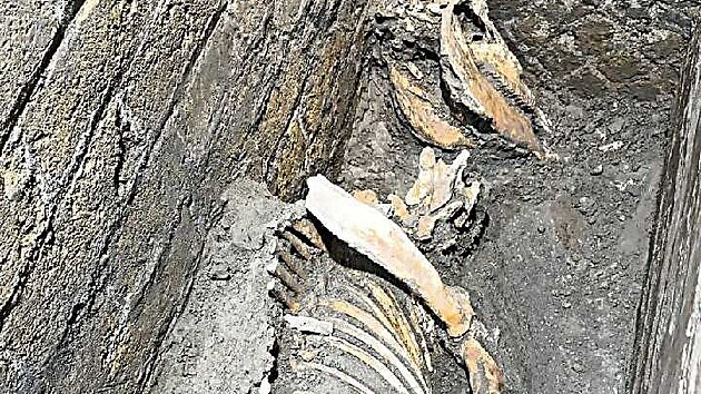 Archeologov� objevili nov� d�kazy, �e se lid� po ni�iv� erupci Vesuvu do Pompej� vr�tili a m�sto bylo znovu provizorn� obydleno. (7. srpna 2025)