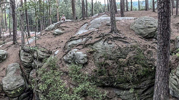 Toulovcovy Ma�tale u Prose�e na Chrudimsku jsou tvo�eny soustavou skalnat�ch �dol�, kter� tu vyhloubily pramenn� toky a pobo�ky Novohradky.