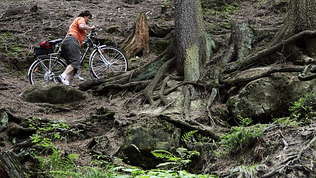 Toulovcovy Ma�tale u Prose�e na Chrudimsku jsou tvo�eny soustavou skalnat�ch �dol�, kter� tu vyhloubily pramenn� toky a pobo�ky Novohradky.