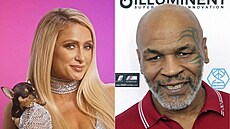 VIP milují zvíata.