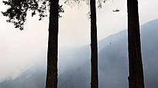 Hasi�i z kanadského Ashcroftu zasahovali u po�áru, který zp�sobila ryba na...