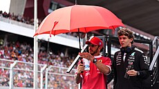 Kimi Antonelli a Lewis Hamilton p�ed startem Velké ceny Ma�arska.