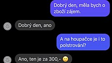 ena prodávala vci pes internet. Podvedla pes 700 lidí.