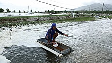 Pracovník na farm� spole�nosti Ujung Kulon Sukses Makmur Abadi krmí krevety....